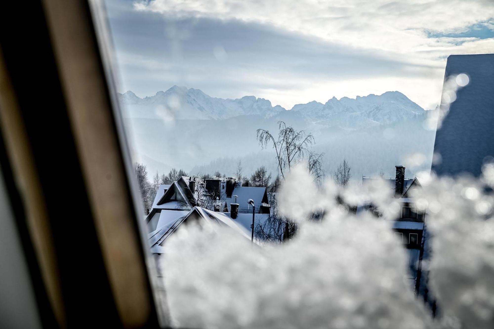 Tatarek Zakopane Panzió Kültér fotó